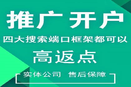 百度推广托管服务案例解析